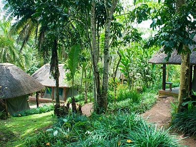ubytovanie Kibale Forest Kemp - Kibale, Uganda